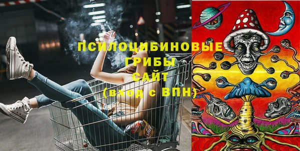 MDMA Белокуриха