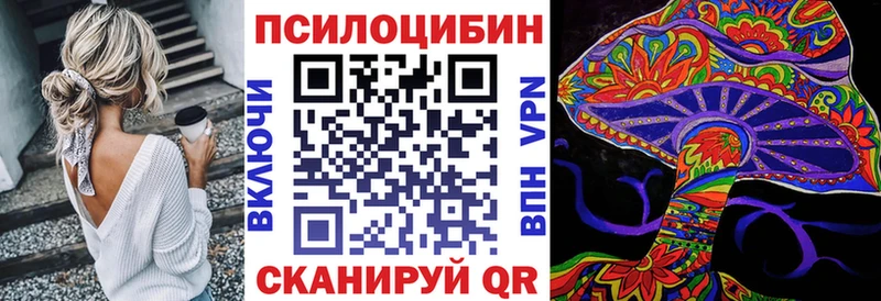 Псилоцибиновые грибы ЛСД  наркошоп  Циолковский 