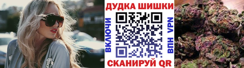 Каннабис OG Kush  Циолковский 